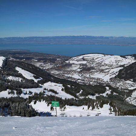 Appartement T2 A Bernex Avec Wifi, Vue Sur Montagne Eksteriør billede
