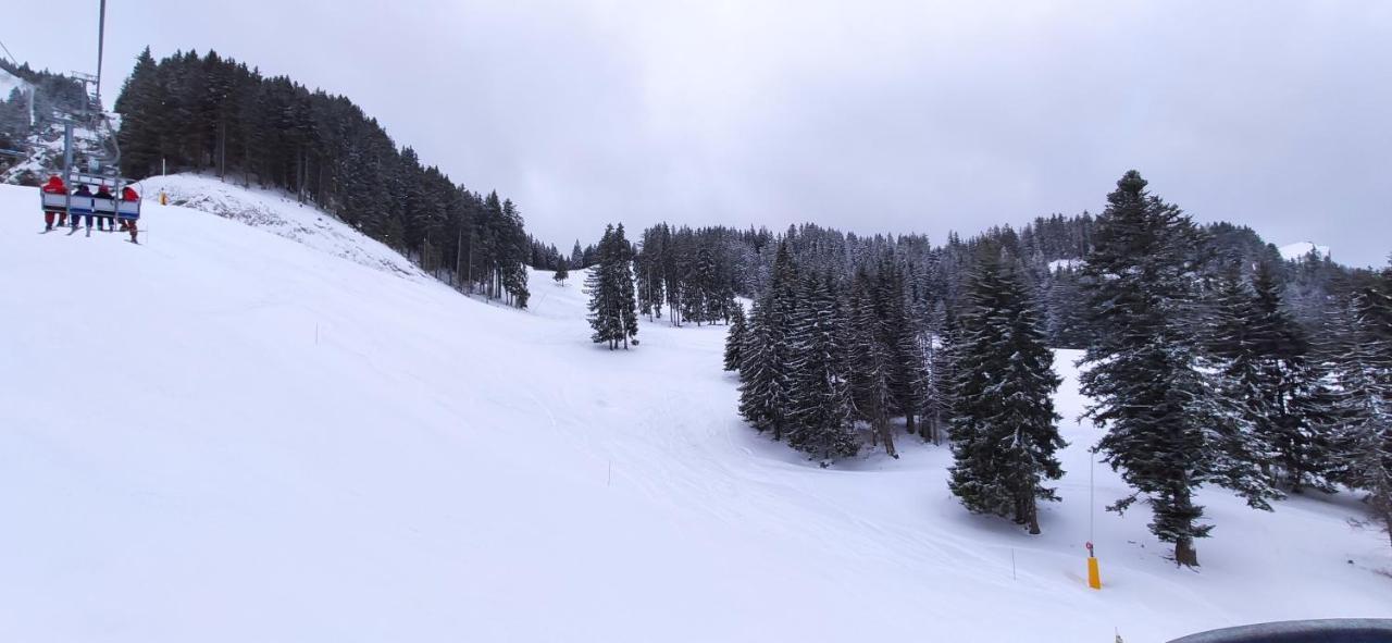 Appartement T2 A Bernex Avec Wifi, Vue Sur Montagne Eksteriør billede