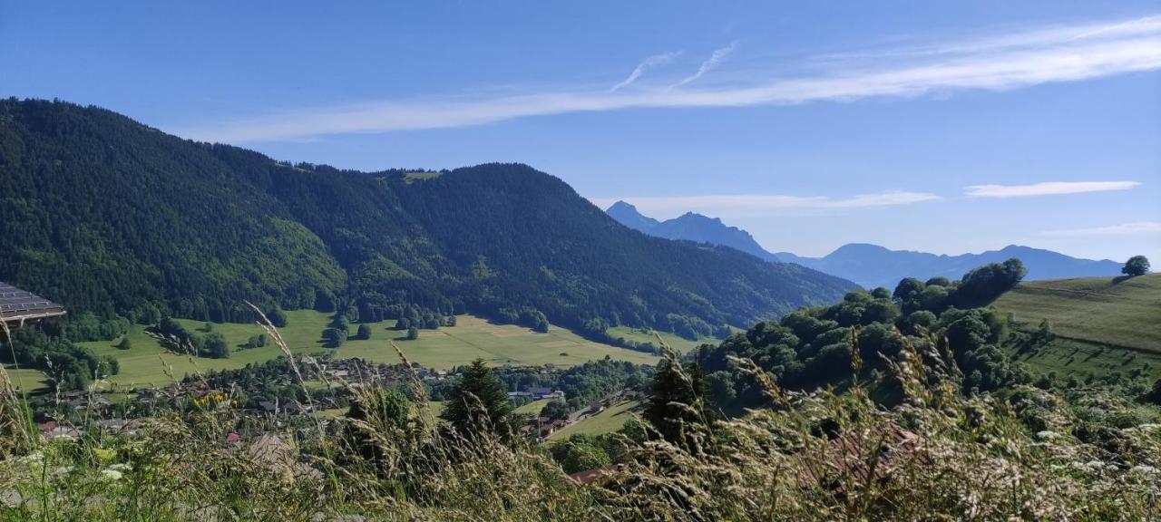 Appartement T2 A Bernex Avec Wifi, Vue Sur Montagne Eksteriør billede