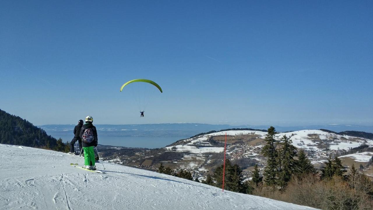 Appartement T2 A Bernex Avec Wifi, Vue Sur Montagne Eksteriør billede